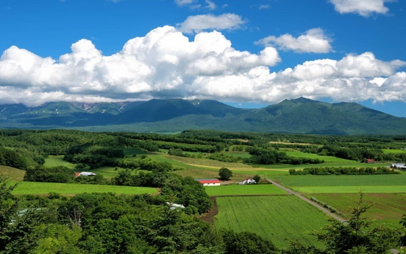 kunneppu-sizen